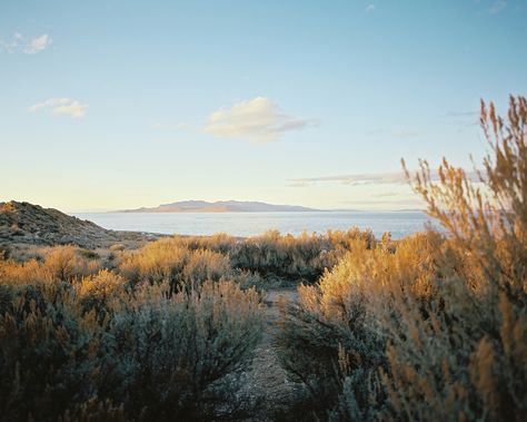 Utah State Parks, Antelope Island, Nature Beauty, State Park, The Great Outdoors, State Parks, Utah, Places To Go, Natural Beauty