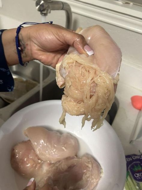 Breast Muscle, Spaghetti Chicken, Broiler Chicken, Kids Dinner, Chicken Mom, Chicken Breast Fillet, Spaghetti Noodles, Food Science, Chicken Breeds