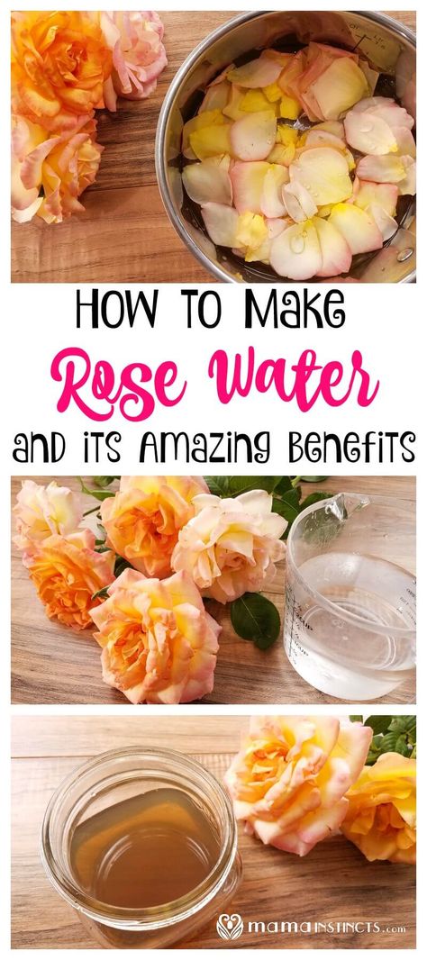 Why You Should Be Putting Rose Water on Your Face (and How to Make it) Rose Water Diy Recipes, Rose Water Recipe, Make Rose Water, Natural Face Toner, Rose Water Diy, How To Make Rose, Skin Care Routine For 20s, Diy Rose, Diy Roses