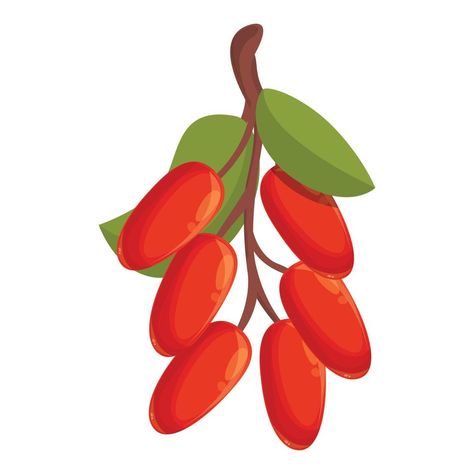 Barberry fruit icon cartoon vector. Goji berry Fruit Icons, Goji Berry, Birthday Cards Diy, Goji Berries, Diy Cards, Vector Art, Berry, Birthday Cards, Clip Art