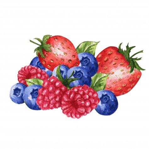 Wild berries mix, strawberry, raspberry,... | Premium Vector #Freepik #vector #watercolor #food #fruit #strawberry Berries Drawing, Raspberry Drawing, Berry Drawing, Berries And Cream, Pink Spring Flowers, Blueberry Ice Cream, Fruit Strawberry, Fruit Ice Cream, Berry Cheesecake