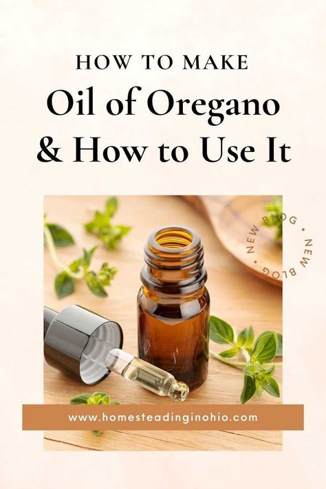 Oregano Oil Ear Ache, Uses For Oregano Oil, How To Take Oil Of Oregano, How To Use Oil Of Oregano, Oregano Oil Antibiotic Recipe, Diy Oregano Essential Oil, Oregano Infused Olive Oil Benefits, Oregano Oil Tincture Recipe, How To Ingest Oregano Oil