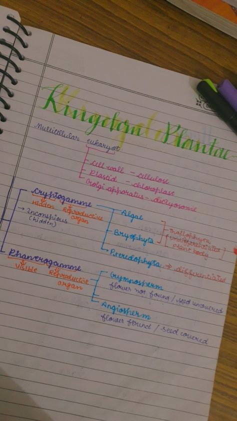 Kingdom Plantae Notes, Animal Kingdom Notes, Kingdom Plantae, Kingdom Animalia, Class 9, Teaching Biology, Cell Wall, Notes Inspiration, Study Notes