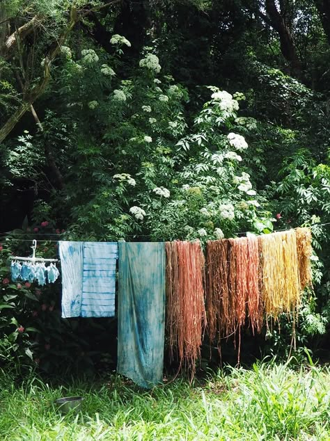 Eco Dyeing Fabric, Dye Garden, Gathering Flowers, Textile Book, Water Plumbing, Dye Studio, Natural Dye Fabric, Plant A Garden, Botanical Dye