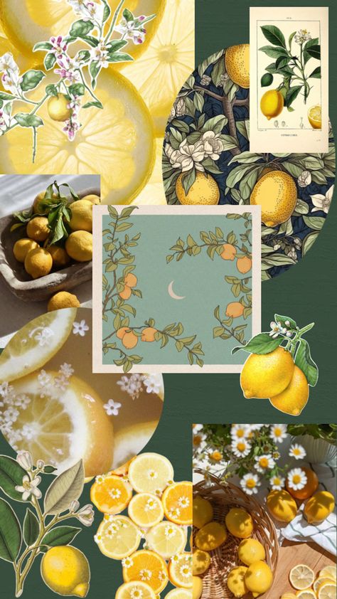 Lemons Collage #wallpaper #lockscreen #lemon #yellow #foodcollage Food Collage, Office Wallpaper, Yellow Theme, Collage Wallpaper, Ios Wallpapers, Summer Wallpaper, Pretty Wallpapers Backgrounds, Aesthetic Collage, Lemon Yellow