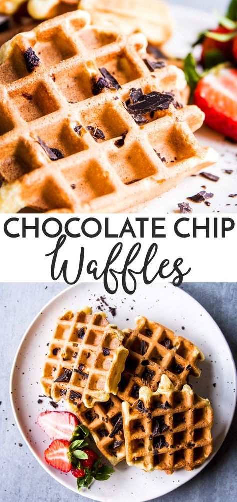 Chocolate Chip Waffles are the special breakfast treat you’ve been looking for! Baked to crispy perfection and all fluffy inside, these waffles are studded with deliciously sweet chocolate chips. Make them for your next special weekend brunch - these are always a hit! | #brunch #waffles #mothersday #breakfast #recipe #easyrecipes #chocolate #kidfriendly #familyrecipes #chocolatechips Chocolate Chip Waffle Recipe, Waffle Ideas, Brunch Waffles, Chocolate Chip Waffles, Chicory Recipe, Special Breakfast, Homemade Chocolate Chips, Brunch Recipe, Waffle Toppings