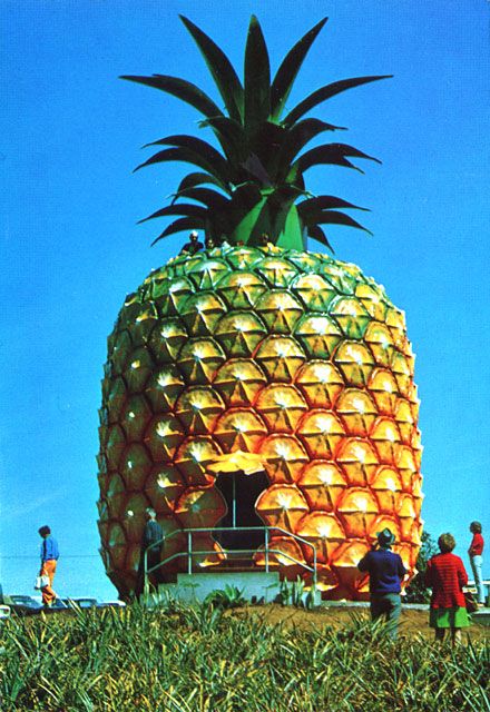 pineapple | spectacular 50ft high replica contains an observation deck and 2 ... Strange Houses, Weird Houses, Spongebob House, Big Pineapple, Spongebob Stuff, Unusual Houses, Funny Spongebob, Crazy Houses, Spongebob Square