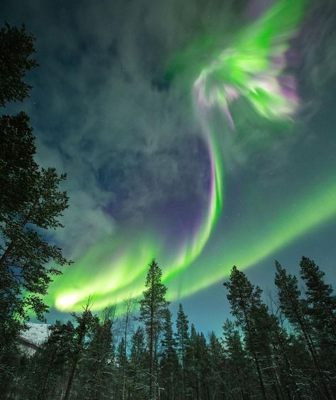 The Most Wonderful Northern Lights In The World – TravelOpel.Com Favorite Picture, The Northern Lights, The Aurora, Shooting Star, Travel Videos, Milky Way, Aurora Borealis, Travel Guides, Astronomy