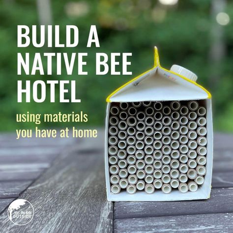 How Kids Can Support Native Bees by Building Bee Hotels Bee Hotels, Bee Activities, Bee Hotel, Solitary Bees, Bug Hotel, Mason Bees, Insect Hotel, Backyard Buildings, Pollinator Garden