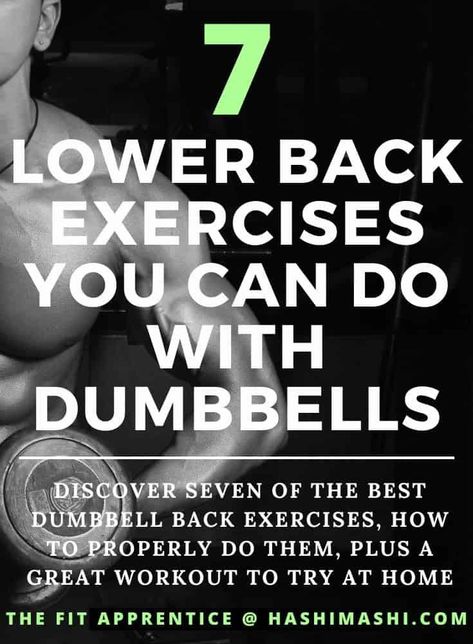 Lower Back Exercises At Home With Dumbbells - Learn about seven of the best dumbbell back exercises, how to do them correctly, plus one great workout to try at home. lower back exercises | lower back exercises with dumbbells | lower back exercises at home with dumbbells Back Db Workout, Dumbbell Lower Back Workout, Tone Lower Back, Lower Back Fat Exercises At Home, Lat Exercises At Home, Lower Back Weight Workout, At Home Back Exercises, Low Back Exercises Women, At Home Lower Back Workout