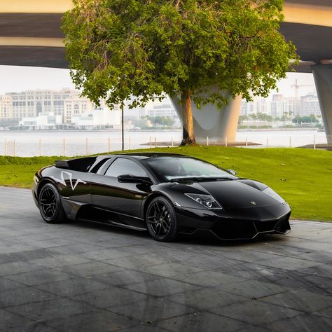 The Lamborghini Murciélago, a shadowy legend with a roar. 🦇🔥 What do you think about this beast? #lamborghini #lamborghinimurcielagosv #exoticcars Murcielago Lamborghini, Lamborghini Murcielago Sv, Cars Dubai, Car Obsession, Forex Trading Strategies Videos, Lamborghini Murcielago, Dubai Luxury, Vroom Vroom, Trading Strategies