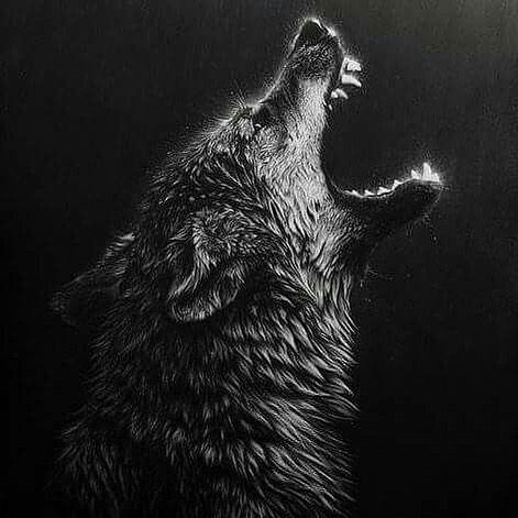 🐺🖤⇉ Wolf - a symbol of strength 🖤🖤 Comment down below your thoughts and rate this photo 1-10 ⇇🖤🐺⁣⁣⁣ 🐾🌲🌲⁣⁣ 🐾⁣⁣ 🐾⁣⁣⁣ 🐾🌲🌲⁣⁣⁣ Support me by… Art Deco, Black And White, Living Room, Bedroom, Wall Art, Canvas, Wall, White, Black