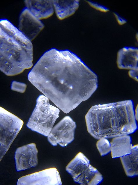 Sugar crystals under a microscope Microscope Photography, Microscope Images, Mineral Food, Electron Microscope Images, Under Microscope, Microscopic Photography, Under A Microscope, Microscopic Images, Adventure Seeker