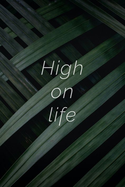 High on life quote on a palm leaves background | free image by rawpixel.com / HwangMangjoo Better Together Quotes, Waiting For You Quotes, Palm Leaves Background, Quote Attitude, Always Better Together, Together Quotes, Leaves Background, Green Notes, Free Illustration Images