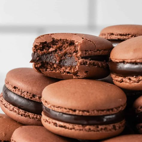 Foolproof Chocolate Macarons Recipe - Step-By-Step Chocolate Maccarone Recipes, Chocolate Ganache Macaron Filling, Chocolate Ganache Macarons, Chocolate Hazelnut Macarons, Chocolate Macaroon, Dark Chocolate Macarons, Hot Chocolate Macarons, Chocolate Macarons Recipe, Mocha Macarons