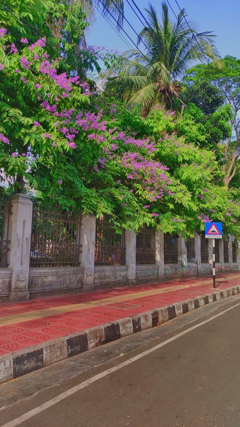 Nature Of Bangladesh, Beauty Of Bangladesh, Bangladesh Village Photography, Road Background For Editing, Road Side View, Bangladesh Aesthetic, Bangladesh Art, Bangladesh Photography, Side Wallpaper