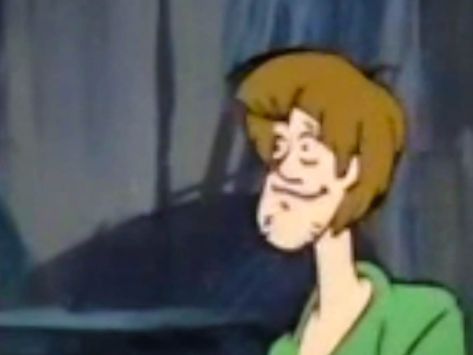 Fred Scooby Doo, Scooby Doo Memes, Elmo And Friends, Reaction Image, Matthew Lillard, Shaggy Rogers, Scooby Doo Images, New Scooby Doo, Arte Indie