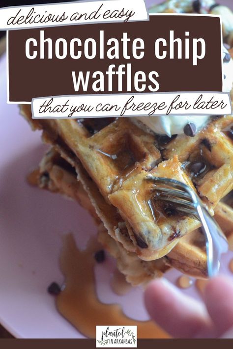 Chocolate Chip Waffle Recipe, Chocolate Chip Waffles, Breakfast Skillet Recipes, Freeze Pancakes, Frozen Waffles, Blueberry Chocolate, Waffles Easy, Homemade Chocolate Chips, Homemade Waffles