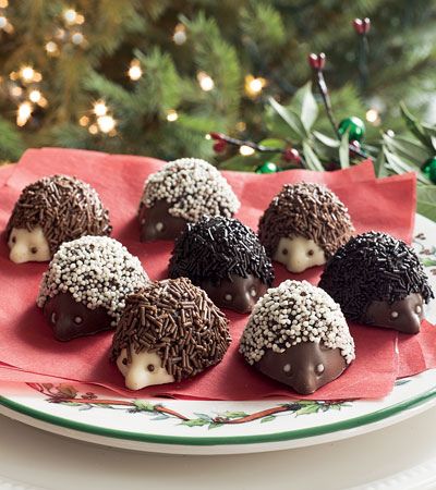 Hedgehog goodies! @Mick Matheson@Stephanie Peters  a twist on our chocolate mice, wouldn't you say! dp Hedgehog Treats, Hedgehog Cupcake, Easter Egg Cake, Hedgehog Cake, Hedgehogs, Chocolate Truffles, Cake Mold, Cute Food, Just Desserts