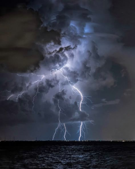 Weather Photography, Lightning Photography, Storm Chasing, Thunder And Lightning, Lightning Storm, Landscape Photography Nature, Sarasota Florida, Sarasota Fl, Photography Projects