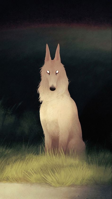 Jenna Barton, Wildlife Photographer, Canine Art, White Wolf, Dessin Adorable, Wolf Art, Arte Fantasy, 영감을 주는 캐릭터, Pics Art