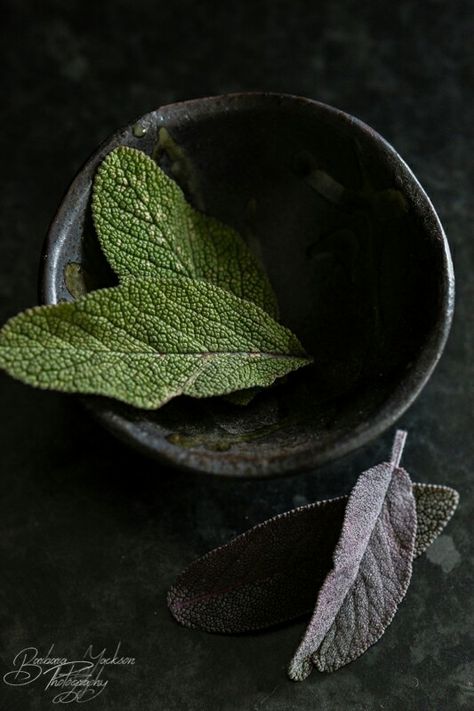 Sage leaves in one of the tiny dishes i bought last week. #herbs #sage #leaves #foodphotography #barbarajacksonphotography #canon5dmarkiii #sigma105mm Dark Food Photography, Alchemy Art, Canon 5d Mark Iii, Healing Plants, Botanical Illustration Vintage, Sage Leaves, Food Table, Healing Herbs, Chiaroscuro