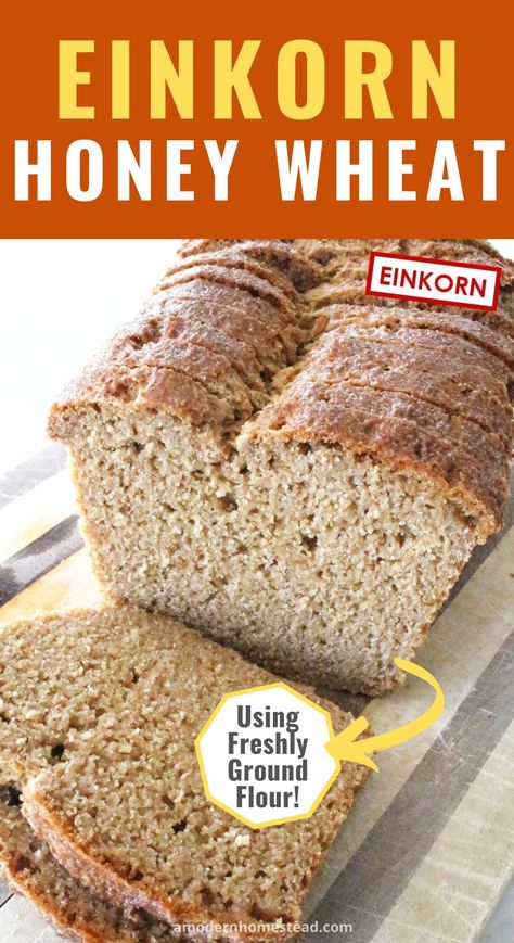 Use your whole einkorn berries to create a light and fluffy einkorn whole wheat bread loaf! This recipe yields a delicious, honey wheat einkorn bread that the whole family will enjoy! Einkorn Whole Wheat Recipes, Einkorn Bread Machine Recipe, Adventure Bread, Clean Carbs, Wheat Berry Recipes, Spelt Flour Recipes, Mill Flour, Ancestral Diet, Einkorn Bread