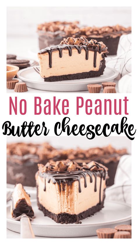 Easy Chocolate Cheesecake Peanutbutter Pie, Reese’s No Bake Cheesecake, No Bake Peanut Butter Cheesecake, Peanut Butter Cheesecake Recipes, Chocolate Peanut Butter Cheesecake, Oreo Cookie Crust, No Bake Peanut Butter, Peanut Butter Cheesecake, Peanut Butter Desserts