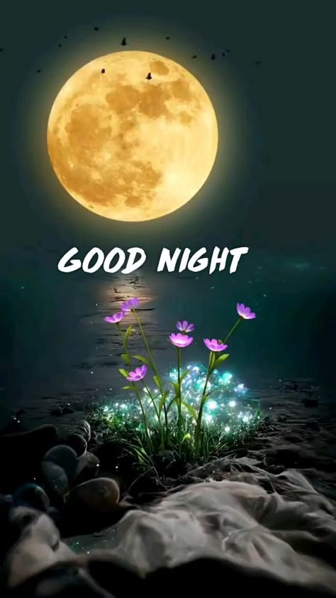 Goodnight Videos, Video Good Night, Good Night Videos, Good Night Love Pictures, Good Night Friends Images, Photos Of Good Night, Good Night Sweetheart, New Good Night Images, Good Night Pics