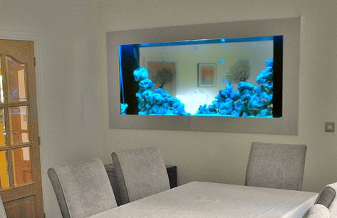 In Wall Aquarium Design & Installation | In Wall Fish Tank UK Specialist Aquarium On Wall, Fish Tank In Wall, In Wall Fish Tank, Window Aquarium, Wall Aquarium Ideas, In Wall Aquarium, Wall Aquarium Design, Aquarium Mural, Aquarium Design Ideas