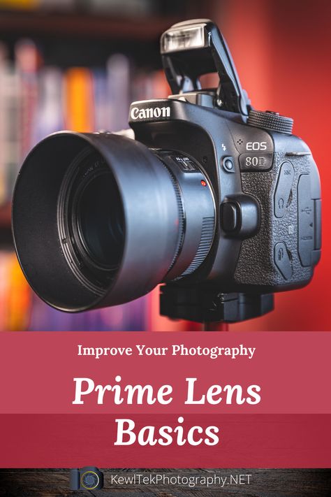 In this post, you'll learn the basics about prime lenses, and why a quality prime lens is a quick way to dramatically improve your shots. Best Camera Lens For Portraits, Canon Camera Lens Guide, Best Lens For Indoor Photography, Photography Lenses Canon, Camera Lens Mm Guide, Portrait Photography Tips, Indoor Photography, Prime Lens, Creative Photography Techniques