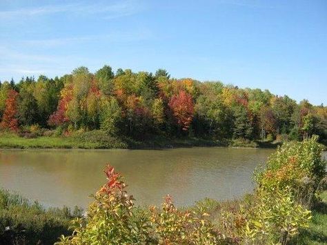 Where to Experience Sault Ste. Marie's True Colours! | Northern Ontario Travel Sault Ste Marie Ontario, Sault Ste Marie, Northern Ontario, Ontario Travel, Seeing 33, Get Moving, Time Of The Year, Fresh Air, In Nature