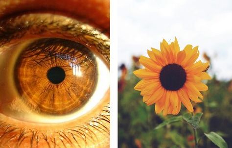 Human And Nature Comparison, Humans And Nature Similarities, Similarities Between Human Body And Nature, Nature And Human Photography, Human Nature Aesthetic, Comparison Photography, Human Body And Nature, Triptych Photography, Body Comparison