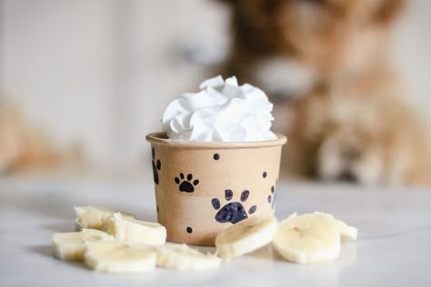 Pup Cups Recipe, Pup Cups, Frozen Dog Treats Homemade, Cup Recipes, Pup Cup, Easy Dog Treat Recipes, Frozen Dog Treats, Easy Dog Treats, Healthy Dog Treats Homemade