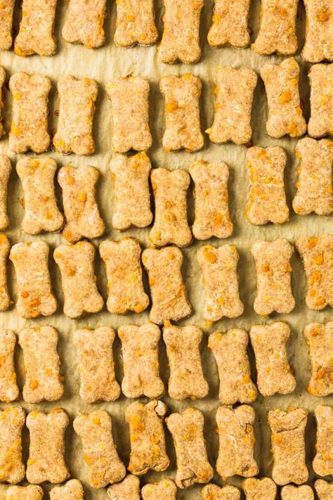 Cheese Dog Treats, Sweet Potato Dog Chews, Baby Treats, Dog Treats Recipe, Sweet Potato Dog Treats, Bedroom Closets, Dog Biscuit Recipes, Dog Biscuits Homemade, The Cookie Rookie