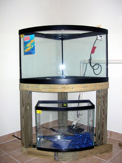 front-view-mid-build Tank Stand Ideas, Fish Tank Stand Ideas, Corner Fish Tank, Corner Aquarium, Diy Aquarium Stand, Corner Stand, Fish Tank Stand, Tank Stand, Diy Aquarium