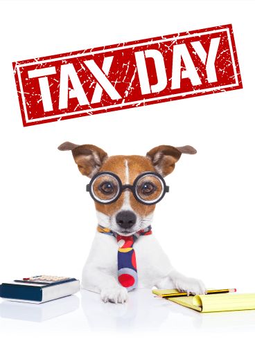 Tax Deadline Humor, Tax Day Humor, Accountant Life, Feisty Quotes, Silly Puppy, History Terms, Tax Consulting, Tax Day, Blooms Taxonomy