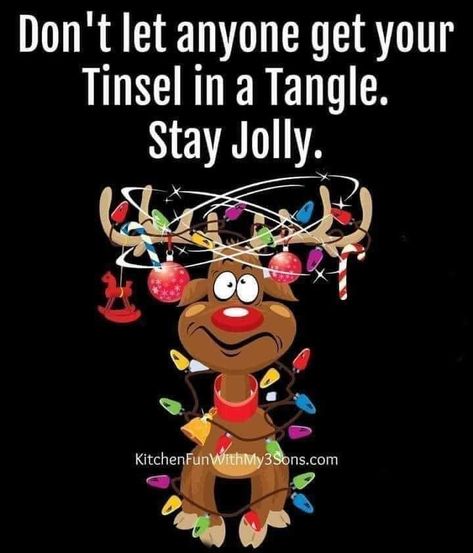 Christmas Critters, Funny Day Quotes, Holiday Morning, Merry Christmas Pictures, Christmas Memes, Mom Life Quotes, Cute Good Morning Quotes, Holiday Quotes, Christmas Post