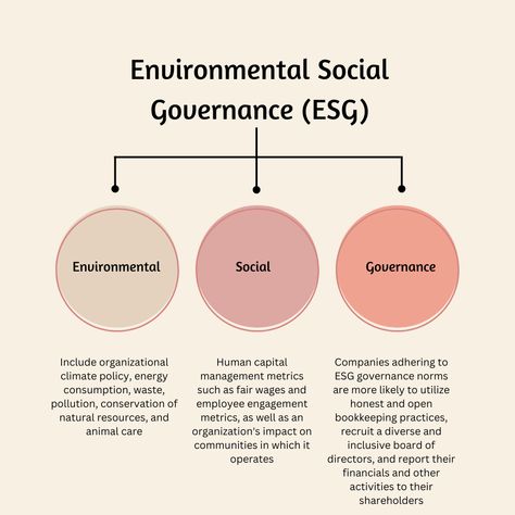 Environmental Consultant, Strategy Consulting, Sustainability Consulting, Social Sustainability, Business Strategy Management, Waste Reduction, Non Governmental Organization, Care Organization, Management Consulting