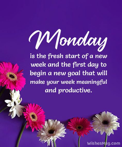 Happy Monday! I hope you are filled with motivation today! 🌞 Monday Magic Quotes, Monday Morning Motivation Positivity, Monday Morning Quotes Positive Happy, Happy Monday Quotes Motivation Positivity, Monday Motivation Positive Thoughts, Monday Morning Wishes, Monday Prayer, Monday Inspirational Quotes, Motivational Good Morning Quotes