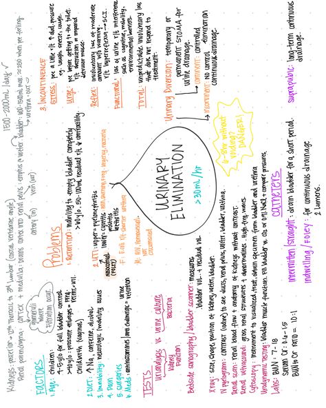 Urinary And Bowel Elimination Nursing, Nursing Elimination Notes, Nursing Fundamentals Urinary Elimination, Renal Nursing Notes, Bowel Elimination Nursing, Renal System Nursing, Elimination Nursing Notes, Bowel Elimination Nursing Notes, Urinary Elimination Nursing School