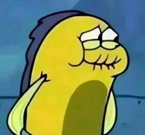 Spongebob Funny Pictures, Spongebob Pics, Spongebob Funny, Birthday Makeup, Reaction Pic, Spongebob Memes, Funny Doodles, Cartoon Memes, Mood Humor