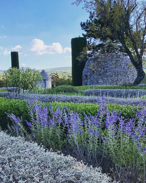 Teucrium Fruticans, Perovskia Blue Spire, Dry Garden, Purple Garden, Garden Design Plans, Mediterranean Garden, Country Garden, Green Garden, Country Gardening