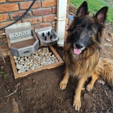 Outdoor Dog Area, Dog Station, Dog Friendly Backyard, Pet Feeding Station, Dog Feeding Station, Dog Training School, Outdoor Dog House, Dog Yard, Cat Sanctuary