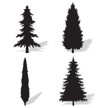 fir tree,spruce trees,silhouette set,pine trees,pine tree background,tree,spruce,pine,nature,plant,christmas,forest,decoration,natural,symbol,branch,xmas,decorative,silhouette,decor,botany,simple,concept,collection,scenery,black,mountain,outdoor,shadow,isolated,environmental,environment,fir-tree,garden,drawing,branches,christams,fir free,christmas tree,chritmas,cartoon pine tree,winter trees,cartoon fir tree,pine tree,spruces,fir,sketch,landscape,view,stencil,jungle,jungle tree,forest tree Drawing Branches, Natural Symbol, Arbutus Tree, Sketch Landscape, Trees Silhouette, Background Tree, White Oak Tree, Silhouette Decor, Pine Tree Silhouette