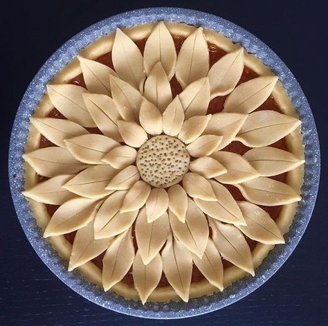 Pretty Pie Crust, Creative Pie Crust, Fancy Pie Crust, Pie Crust Art, Beautiful Pie Crusts, Creative Pies, Decorative Pie Crust, Crust Designs, Pie Designs