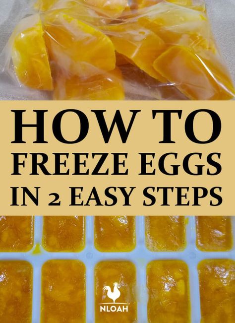 How To Freeze Eggs, Freezer Eggs, Can You Freeze Eggs, Frozen Eggs, Freezing Food Guide, Freeze Eggs, Freezing Vegetables, Freezing Food, Freezing Eggs