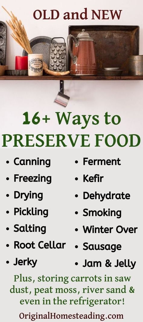 Discover more than 16 Ways to Preserve Foods with traditional and modern methods. Preserve food from the garden. DIY food storage ideas. Learn about canning and freezing, dehydrating and salting. Also, discover the art of pickling and fermenting plus learn how to make milk kefir and water kefir. There is something for everyone! Read more at OriginalHomesteading.com #preservingfood #foodstorage #howtostorefood #homesteadsurvival Food Storage Ideas, Diy Food Storage, How To Store Carrots, Emergency Preparedness Food Storage, Survival Skills Emergency Preparedness, Emergency Preparedness Food, Home Canning Recipes, Preserve Food, Canning Food Preservation