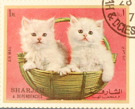 People In The City, طوابع بريد, Cute Stamps, Cat Stamp, Postage Stamp Art, Post Stamps, Post Stamp, Stamp Collection, Stamp Art