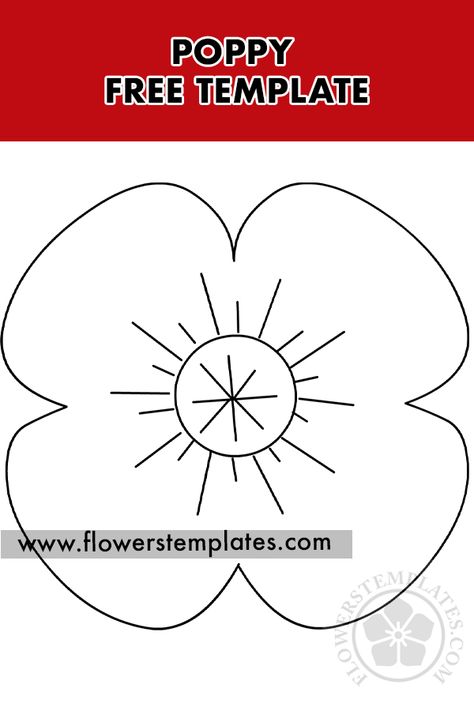 Poppy flower drawing